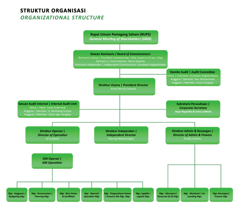 Contoh Struktur Organisasi Perusahaan Dan Penjelasannya Lokerpintar Id