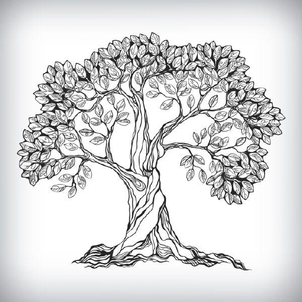 Jawaban Psikotes Gambar Orang Pohon dan Rumah Cara Lengkap Lulus 1
