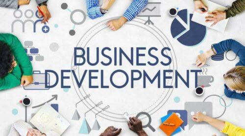 Pekerjaan, Gaji, Fungsi Dan Tugas Business Development