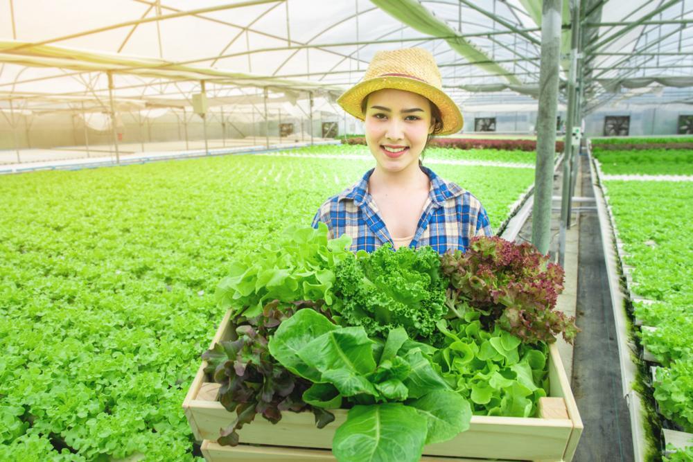 Prospek Kerja Jurusan Agribisnis - LokerPintar.id