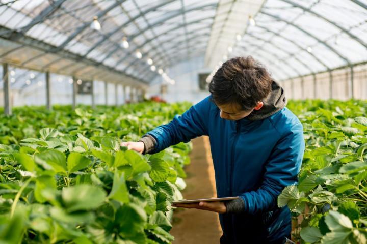 Prospek Kerja Jurusan Agroteknologi - LokerPintar.id