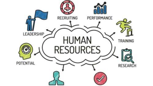 Perbedaan Human Capital dan Human Resource