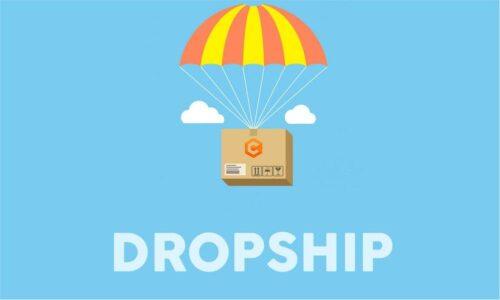 Membuat Bisnis Dropship Ide Usaha Rumahan yang Cocok untuk Pemula