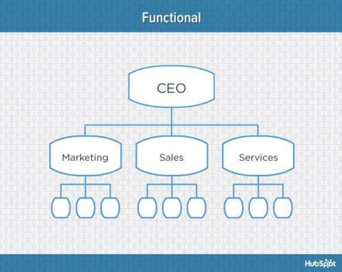 Struktur Organisasi Perusahaan: Jenis, Struktur, dan Optimalisasi