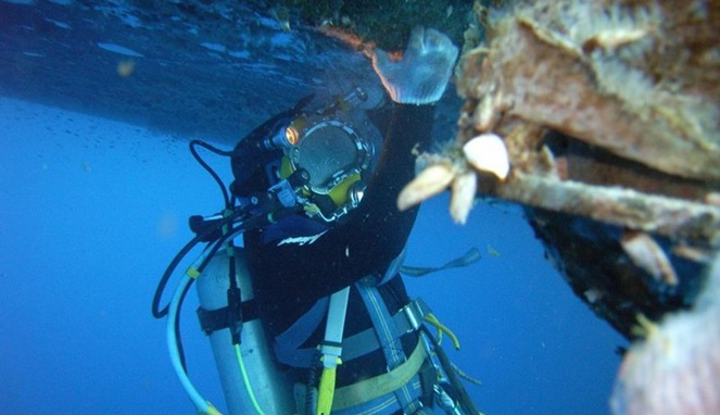 Gaji Tukang Las Bawah Laut Dan Tunjangan Lokerpintar Id