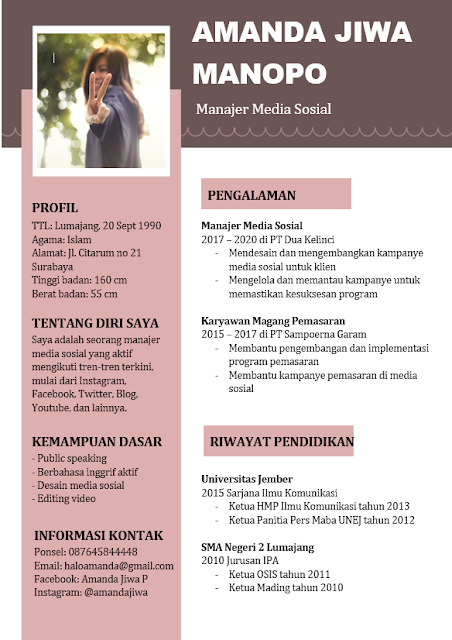 Download Template CV Word Bahasa Indonesia: Merah Muda