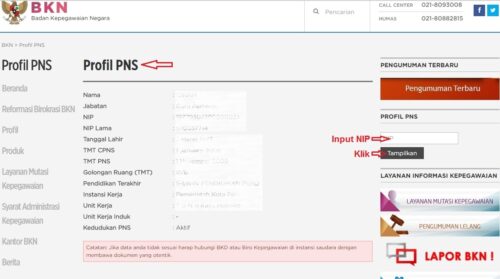 2 Cara Cek Profil PNS Melalui NIP secara Online
