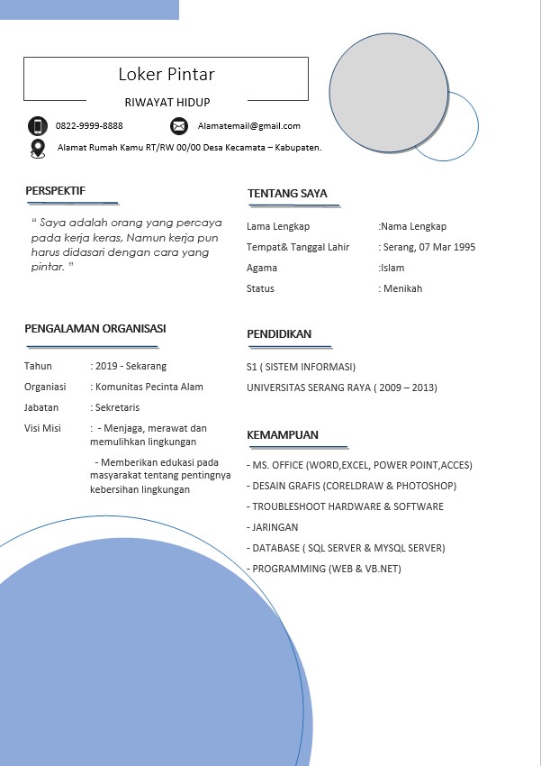Download Template CV Word Profesional