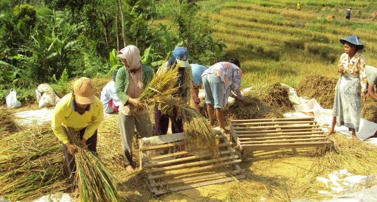 10 Contoh Kegiatan Produksi Dan Penjelasannya Lokerpintarid 9676