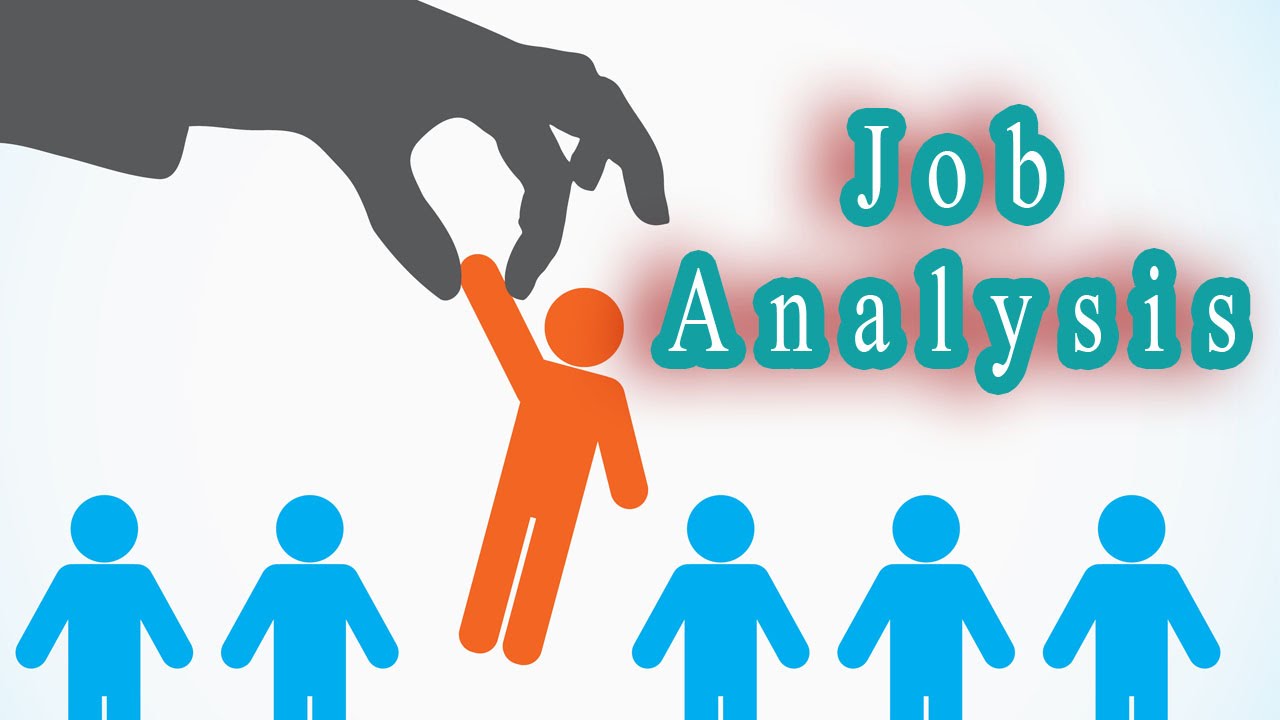 Job Analysis Adalah Tujuan Proses Manfaat Dan Cara Melakukannya Lokerpintar Id