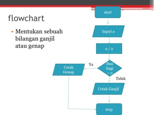 Materi Problem Solving dalam Organisasi